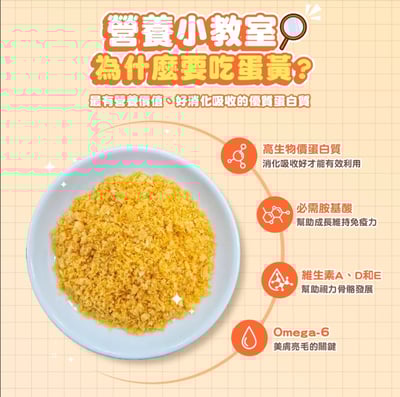 肉球世界 搖搖鮭魚蛋黃無穀貓糧2