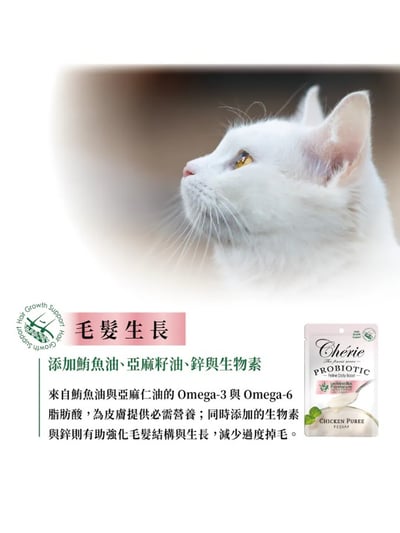 Cherie 法麗 乳酸菌主食貓餐包系列 40g6