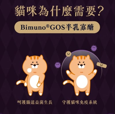 【Abao 阿寶】貓｜魔鏡膠原燉餐包 45g5