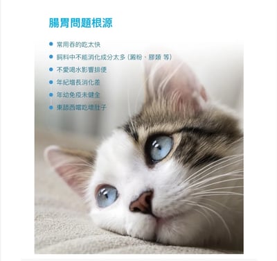 木入森MORESON 貓咪活菌寶腸胃保健 營養補充 腸道呵護 消化吸收 排便順利2