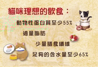 CALIMBA 德國凱琳-無穀主食貓罐 200g10