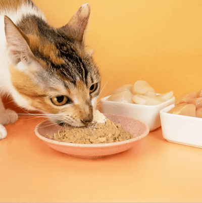 怪獸部落LitoMon OK！葉黃素（1.5g×30包）5