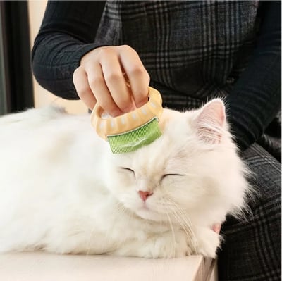 DogCatStar 汪喵星球 日本 Philocomb 寵物貝殼梳2