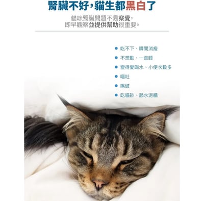 木入森MORESON 貓咪保腎利(腎臟保養) 寵物保健 營養品 Cat Health3