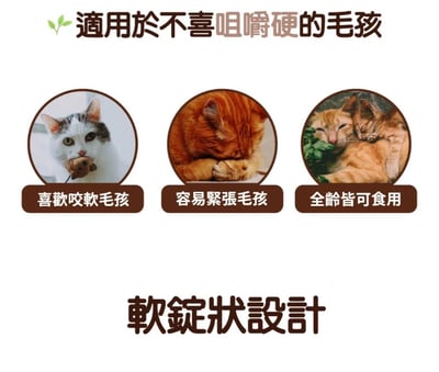 Cat Glory 驕傲貓 貓薄荷潔牙軟錠 30g4