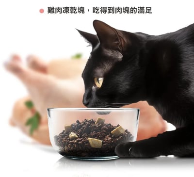 喵探長無榖凍乾糧 買大送小3