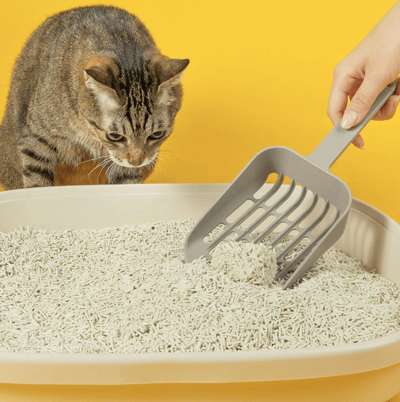 【整箱免運】怪獸部落LitoMon 費洛蒙快樂貓砂-豆腐砂 2.7kg5