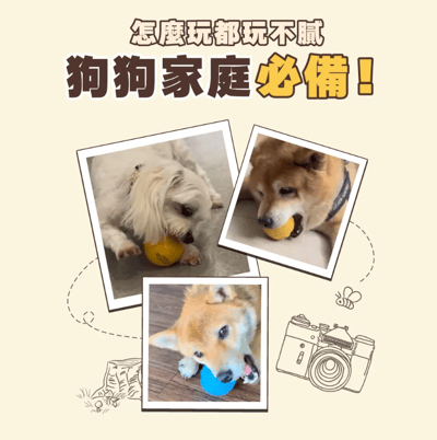 HEROMAMA 小熊維尼系列 好朋友啾啾彈力球 | 狗狗彈力球4