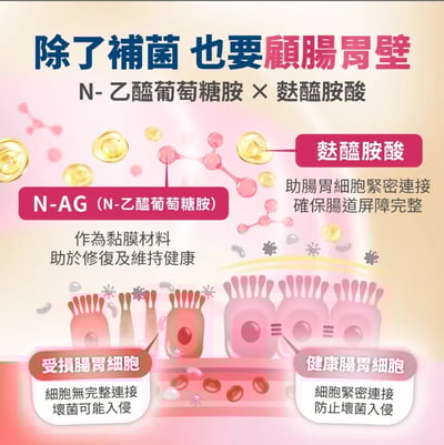 【毛掌醫學】益生菌 保健肉泥 | 寵物腸胃保健 軟便剋星 貓狗適用11