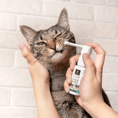 DogCatStar 汪喵星球 潔牙護理酵素 (凝露噴劑型)4