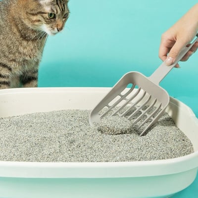 【免運】怪獸部落 費洛蒙快樂貓砂｜礦砂4