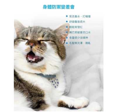 木入森MORESON 貓咪護疫升 貓咪離胺酸 (免疫配方)寵物保健 營養品 Cat Health3