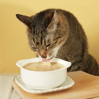 DogCatStar 汪喵星球  貓主食罐｜益菌PRO+ 綿密肉泥主食罐8