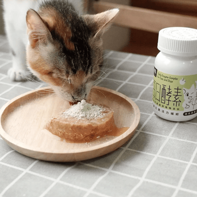 怪獸部落LitoMon 每日酵素 犬貓元氣活力補給 40g3