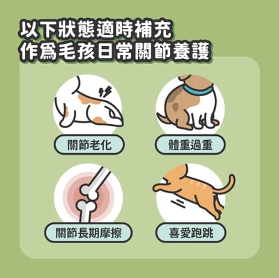 陪心機能PLUS | No.1關節保健膠原蛋白粉3