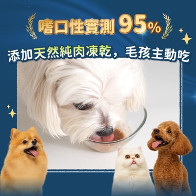 汪喵星球 呼吸道保健｜換季必備5