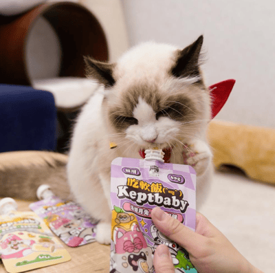 沙發馬鈴薯 | Keptbaby吃軟飯 | 骨肉泥主食餐包 60g4