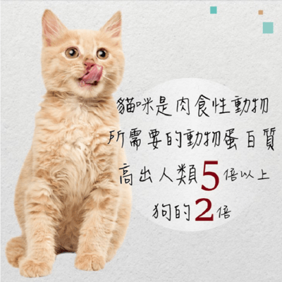 SEEDS惜時 MamaMia 愛貓軟凍餐罐 170g5