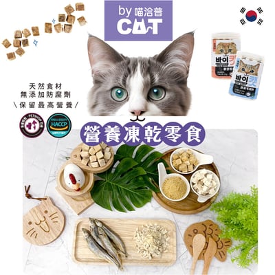 韓國ByCat 喵洽普 貓咪凍乾零食6