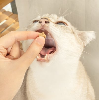 怪獸部落LitoMon 爽爽酷肉粒｜野味凍乾零食7