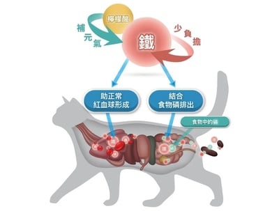 木入森MORESON 貓咪保腎利(腎臟保養) 寵物保健 營養品 Cat Health5