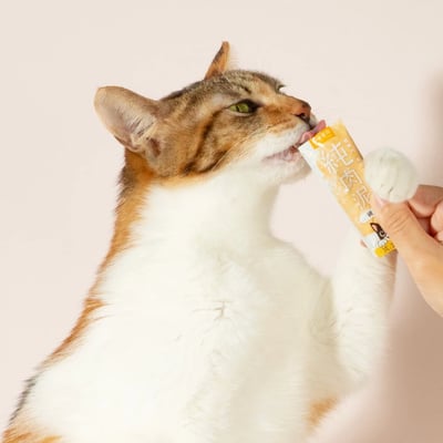 DogCatStar 汪喵星球 無膠純肉泥11