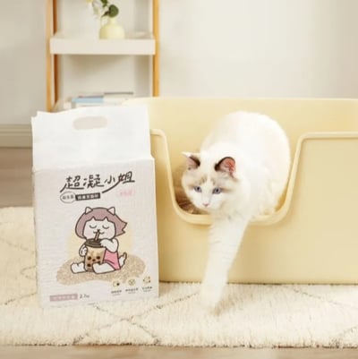 【免運】 超凝小姐｜益生菌除臭豆腐砂米粒型2