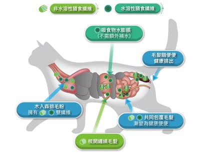 木入森MORESON 貓咪排毛粉 毛髮吐出 腸胃保健 營養補充 腸道呵護7