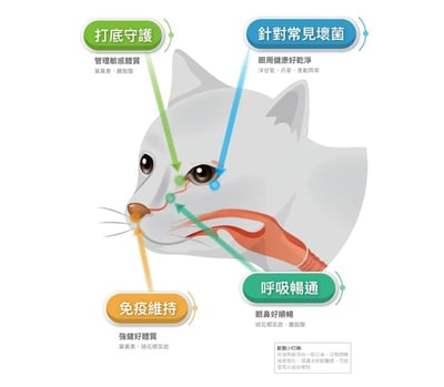 木入森MORESON 痕淨白(眼睛保健食品)7