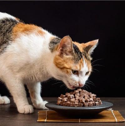 怪獸部落Ｘ乾杯集團 月見牛舌丁四連串包｜犬貓零食5