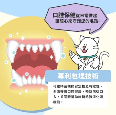 陪心機能PLUS | No.1專利益生菌牙齦保健粉6