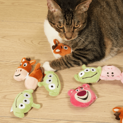 DogCatStar 汪喵星球 玩具總動員系列 特濃貓草球(新款)11