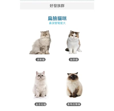 木入森MORESON 痕淨白(眼睛保健食品)8