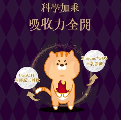 【Abao 阿寶】貓｜魔鏡膠原燉餐包 45g2