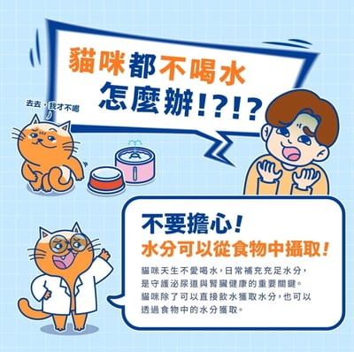 肉球世界 補水炸彈主食餐包 45g4