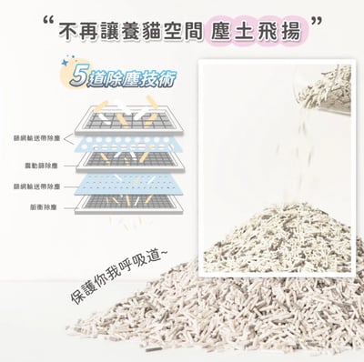 免運｜超凝小姐 益生菌除臭豆腐砂【居家小清新】5