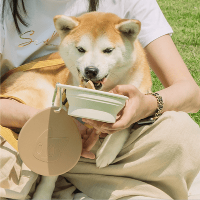 怪獸部落LitoMon 怪獸部落 防塵折疊碗5