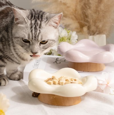 超凝小姐｜春日花與貓系列 餐盤4