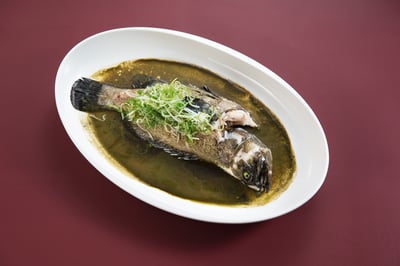 刺蔥醬蒸龍虎斑2