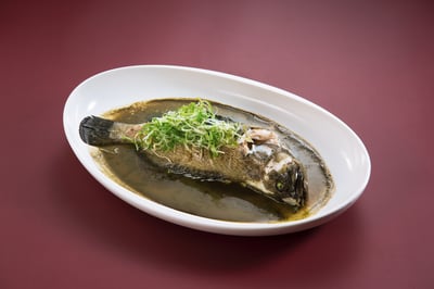 刺蔥醬蒸龍虎斑1