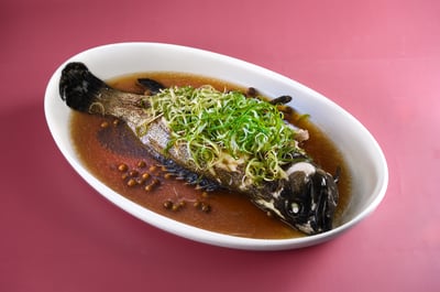 樹子清蒸龍虎斑1