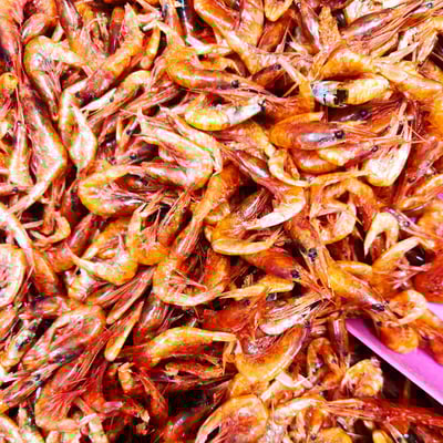 蝦猴 東港名產 金絲蝦猴(乾貨-料理用) 日曬蝦猴 金絲蝦猴 東港名產3