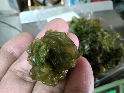 [慶魚堂]情人的眼淚(兩來菇)有機農場(農檢381零檢出、無毒、無農藥、無化肥食材。)2