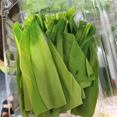 屏東獅子鄉鮮嫩山蘇(160g/盒)(低溫冷藏商品)2