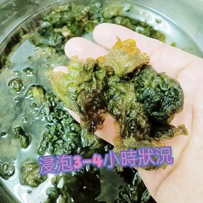 乾燥雨來菇(情人的眼淚)(農檢381零檢出、無毒、無農藥、無化肥食材。)12