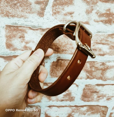 寵物項圈－S / M / L2