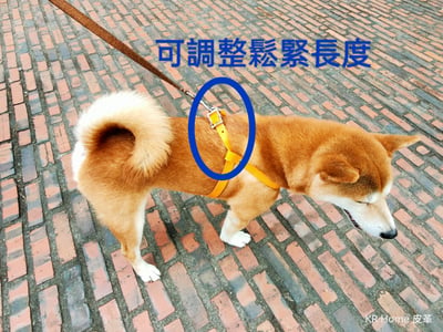 寵物背心3