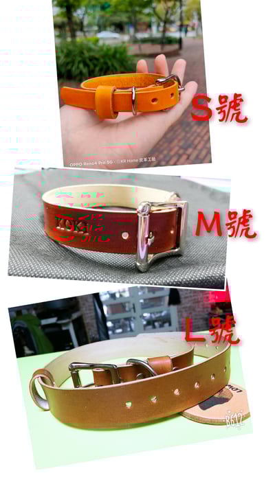 寵物項圈－S / M / L4