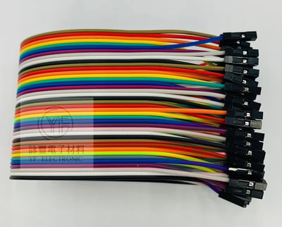 彩虹排線40P雙頭杜邦 母-母1