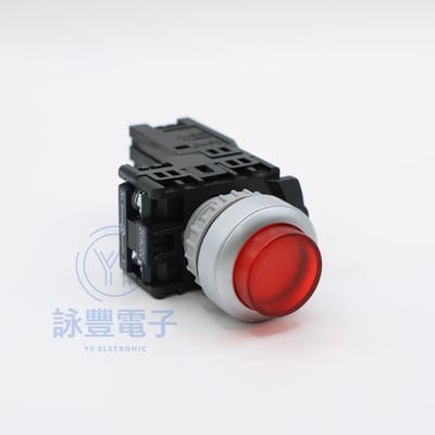 天得 22/25mm 照光凸頭一體型(1A/1B) (24V、110V、220V)3